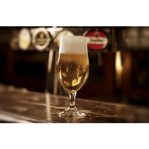 Verre à bière Onis Munique 49 cl (lot de 6) - 2