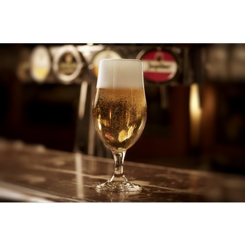 Verre à bière Onis Munique 49 cl (lot de 6) - 2