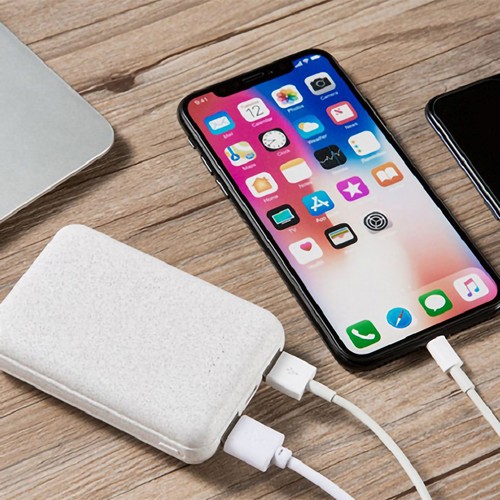 KOMUGI - BATTERIE DE SECOURS ECO - 10 000 MAH - EN PAILLE BLÉ RECYCLÉE