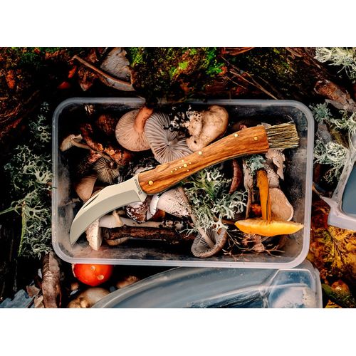 Couteau à champignon 'Laguiole' - 6