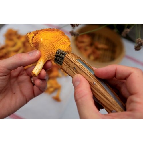 Couteau à champignon - 5