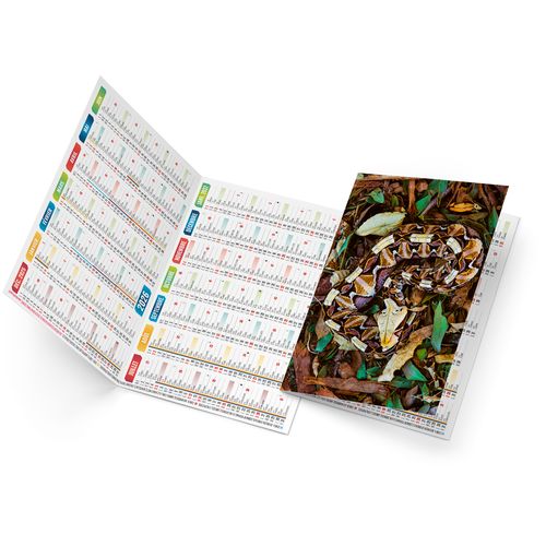 TRISTAN 2026 - NEUTRE 1 POSE thumbnail 4