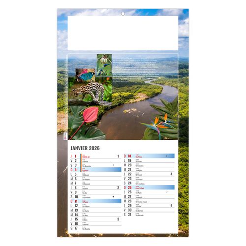 PLAQUE 1 VUE LUC 2026 - DOS CARTON - BLOC B2 - SANS MARQUAGE thumbnail 4