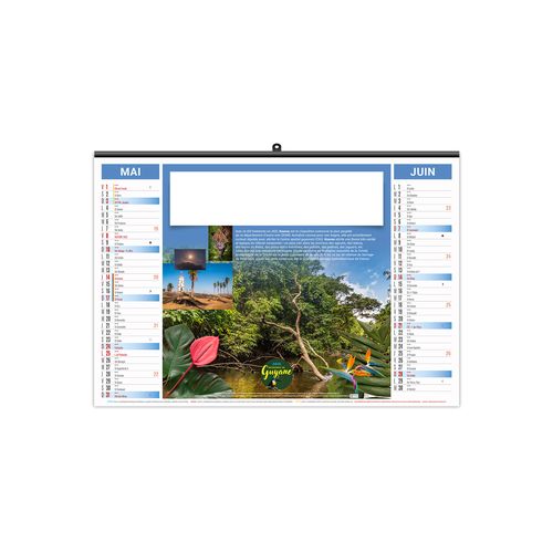 ILLUSTRE ECO - AMAZONE 2026 - SMALL 480 x 330 mm thumbnail 4