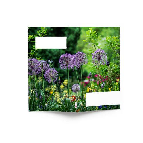 AGENDA ECO POCHE 2026 - THEME JARDIN-1 - 95 x 165 mm - QUINZAINIER 64 PAGES - COUVERTURE 380g QUADRI PAGES 1 ET 4 - PELLICULAGE BRILLANT RECTO - PIQURE 2 POINTS METAL thumbnail 5