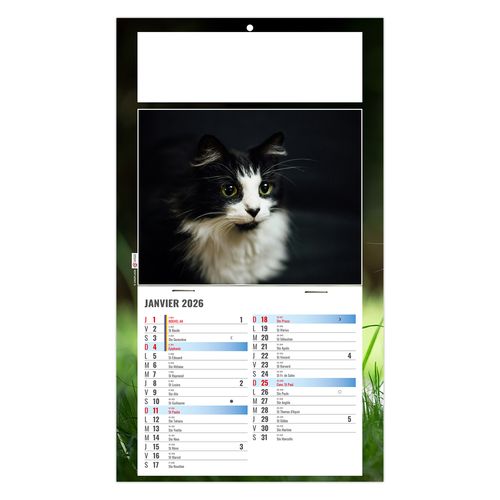 PLAQUE 1 VUE CESAR 2026 - DOS CARTON - BLOC B2 - SANS MARQUAGE thumbnail 4