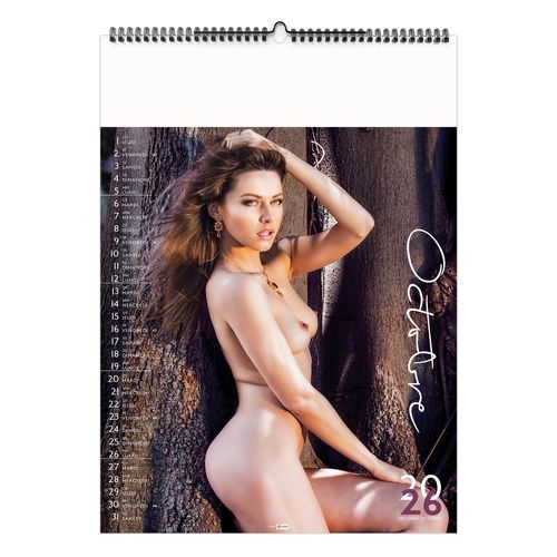 PASSIONATA 2026 - RELIURE BAGUETTE - SANS MARQUAGE thumbnail 13