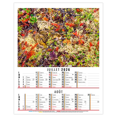 ANNA 2026 - 6 FEUILLETS - BLOC SEUL SANS MARQUAGE thumbnail 5