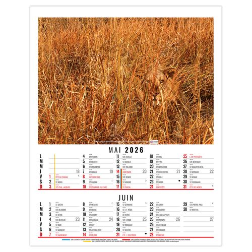 ANNA 2026 - 6 FEUILLETS - BLOC SEUL SANS MARQUAGE thumbnail 4