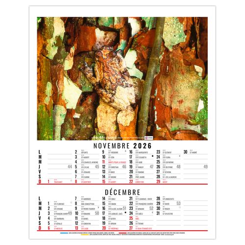 ANNA 2026 - 6 FEUILLETS - BLOC SEUL SANS MARQUAGE thumbnail 7