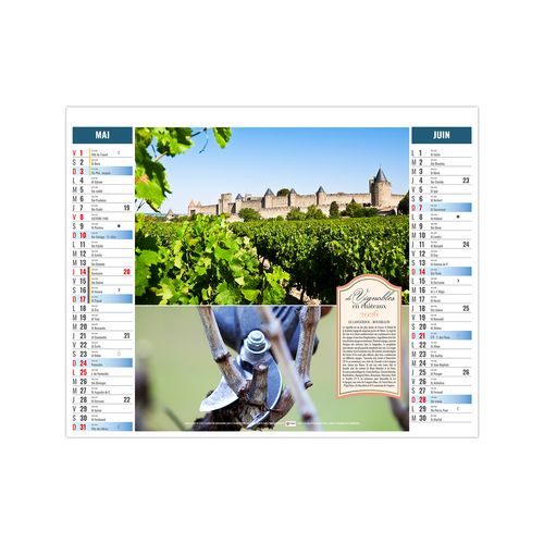 2EN1 - TERROIR 2026 - XXL 474 x 700 mm - MARQUAGE 1 COULEUR thumbnail 4