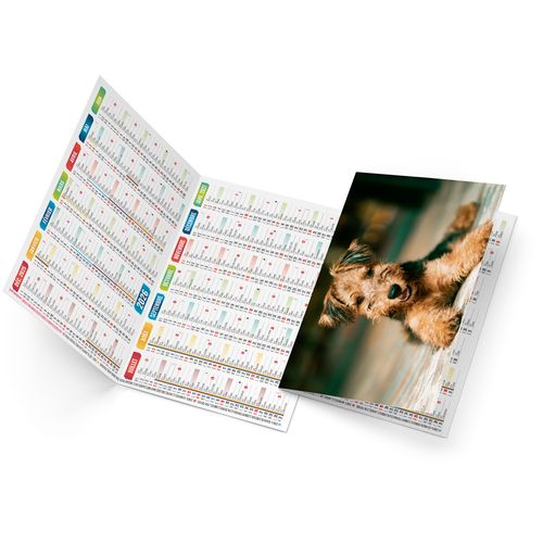 FIDELE 2026 - NEUTRE 1 POSE thumbnail 4