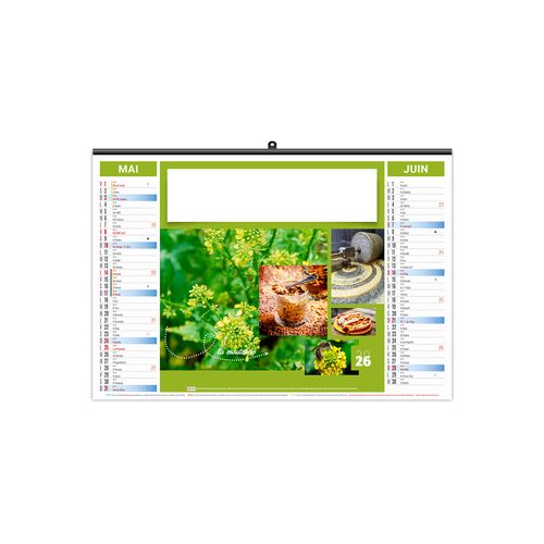ILLUSTRE ECO - HERBES 2026 - SMALL 480 x 330 mm thumbnail 4