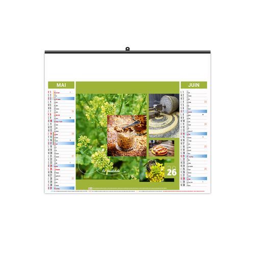 ILLUSTRE ECO - HERBES 2026 - SMALL 480 x 330 mm thumbnail 10