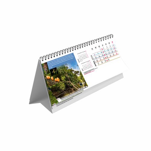 CHEVALET MAXI - CAYENNE 2026 - QUADRI thumbnail 5