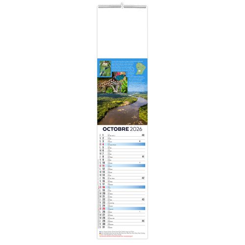 LANGUETTE - NOURAGUES 2026 - QUADRI thumbnail 10