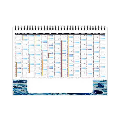 CHEVALET STANDARD 7F - LITTORAL 2026 - QUADRI thumbnail 8