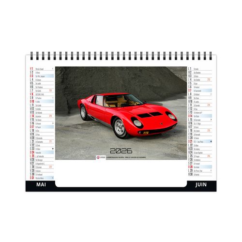 CHEVALET STANDARD 7F - VITESSE 2026 - QUADRI thumbnail 4