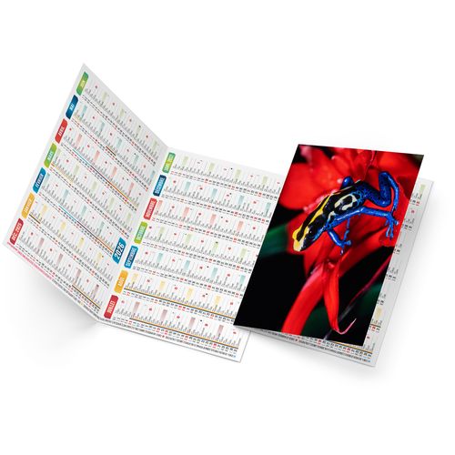 ELLA 2026 - NEUTRE 1 POSE thumbnail 4