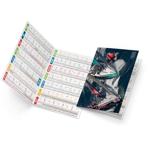 LOIC 2026 - NEUTRE 1 POSE thumbnail 4