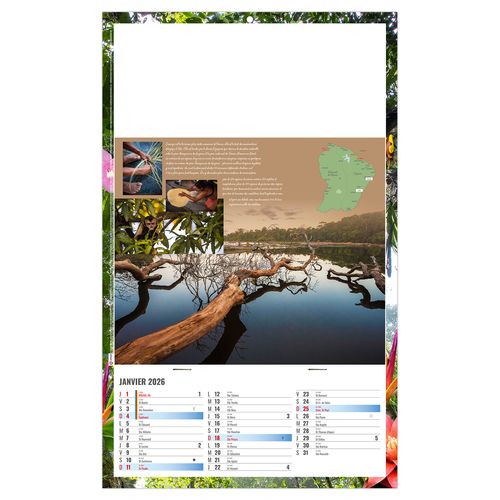 PLAQUE 1 VUE NOE 2026 - DOS CARTON ET BLOC B1 - SANS MARQUAGE thumbnail 4