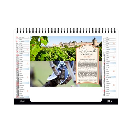 CHEVALET STANDARD 7F - VENDANGE 2026 - QUADRI thumbnail 4