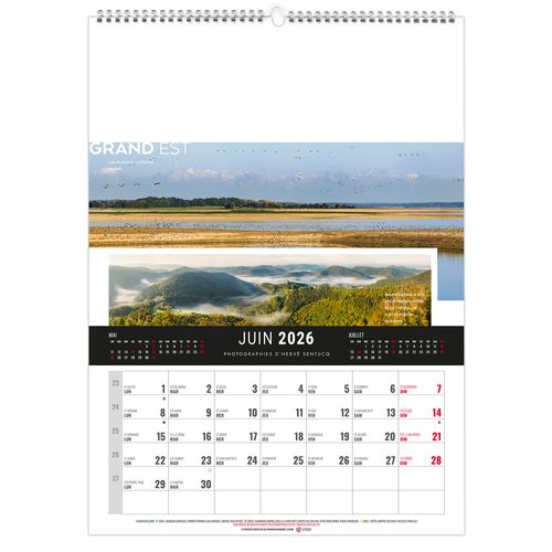 MURAL 12F - ETENDU 2026 - QUADRI thumbnail 6