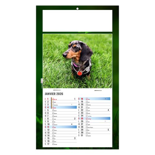 PLAQUE 1 VUE REX 2026 - DOS CARTON - BLOC B2 - SANS MARQUAGE thumbnail 4