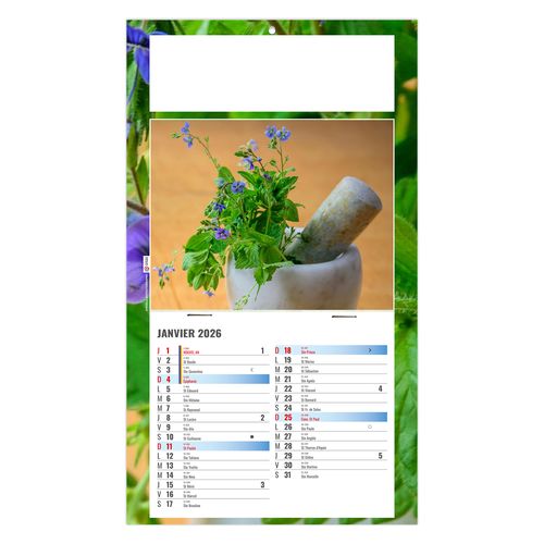 PLAQUE 1 VUE PHYTO 2026 - DOS CARTON - BLOC B2 - SANS MARQUAGE thumbnail 4