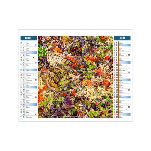 2EN1 - MIMETISME 2026 - XXL 474 x 700 mm - MARQUAGE 1 COULEUR thumbnail 5