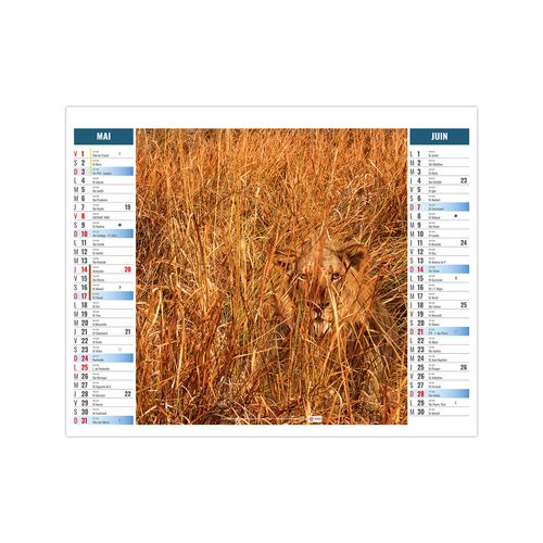 2EN1 - MIMETISME 2026 - XXL 474 x 700 mm - MARQUAGE 1 COULEUR thumbnail 4