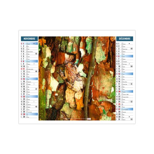 2EN1 - MIMETISME 2026 - XXL 474 x 700 mm - MARQUAGE 1 COULEUR thumbnail 7