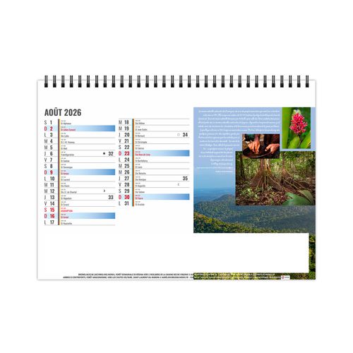 CHEVALET STANDARD 13F - EQUATEUR 2026 - QUADRI thumbnail 9