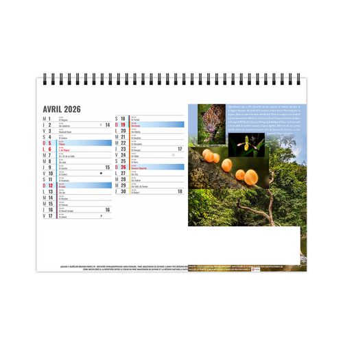 CHEVALET STANDARD 13F - EQUATEUR 2026 - QUADRI thumbnail 5