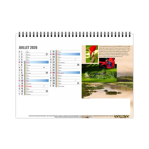 CHEVALET STANDARD 13F - EQUATEUR 2026 - QUADRI thumbnail 8