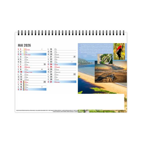 CHEVALET STANDARD 13F - EQUATEUR 2026 - QUADRI thumbnail 6