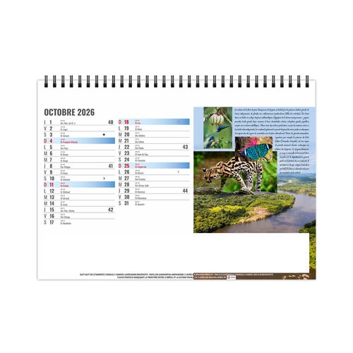 CHEVALET STANDARD 13F - EQUATEUR 2026 - QUADRI thumbnail 11