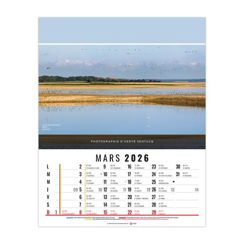 CELINE 2026 - 12 FEUILLETS - BLOC SEUL SANS MARQUAGE thumbnail 4