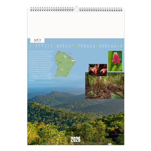 GUYANE 2026 - MARQUAGE 1 COULEUR thumbnail 10