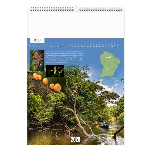 GUYANE 2026 - MARQUAGE 1 COULEUR thumbnail 6