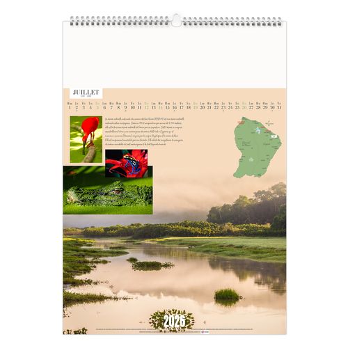 GUYANE 2026 - MARQUAGE 1 COULEUR thumbnail 9