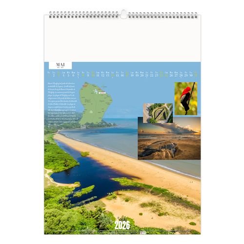 GUYANE 2026 - MARQUAGE 1 COULEUR thumbnail 7