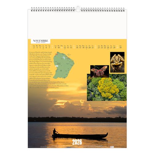 GUYANE 2026 - MARQUAGE 1 COULEUR thumbnail 13