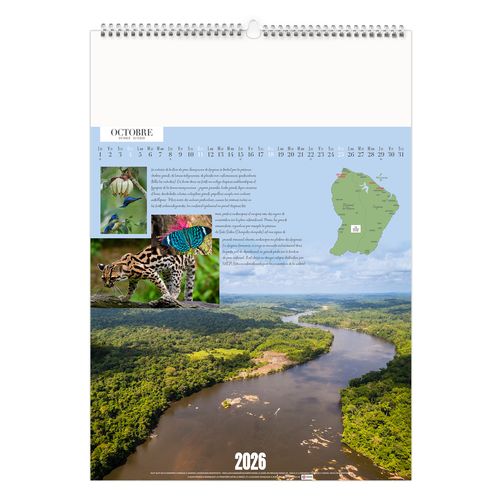 GUYANE 2026 - MARQUAGE 1 COULEUR thumbnail 12