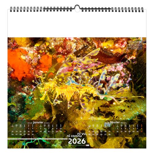 NI VU, NI CONNU 2026 - SMALL 330 x 330 mm - MARQUAGE 1 COULEUR - RELIURE BAGUETTE thumbnail 5