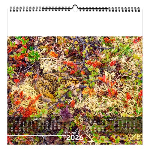 NI VU, NI CONNU 2026 - SMALL 330 x 330 mm - MARQUAGE 1 COULEUR - RELIURE BAGUETTE thumbnail 8