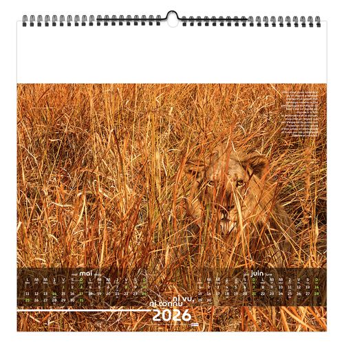 NI VU, NI CONNU 2026 - SMALL 330 x 330 mm - MARQUAGE 1 COULEUR - RELIURE BAGUETTE thumbnail 7