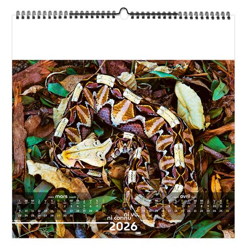 NI VU, NI CONNU 2026 - SMALL 330 x 330 mm - MARQUAGE 1 COULEUR - RELIURE BAGUETTE thumbnail 6