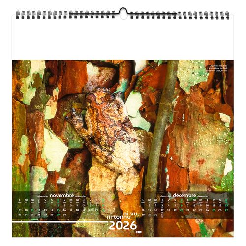 NI VU, NI CONNU 2026 - SMALL 330 x 330 mm - MARQUAGE 1 COULEUR - RELIURE BAGUETTE thumbnail 10