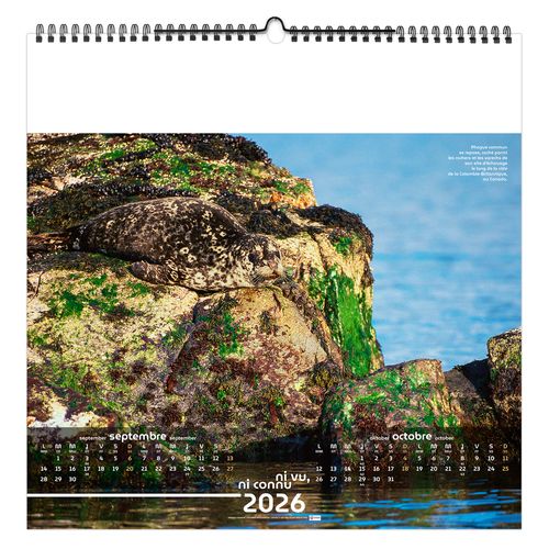 NI VU, NI CONNU 2026 - SMALL 330 x 330 mm - MARQUAGE 1 COULEUR - RELIURE BAGUETTE thumbnail 9